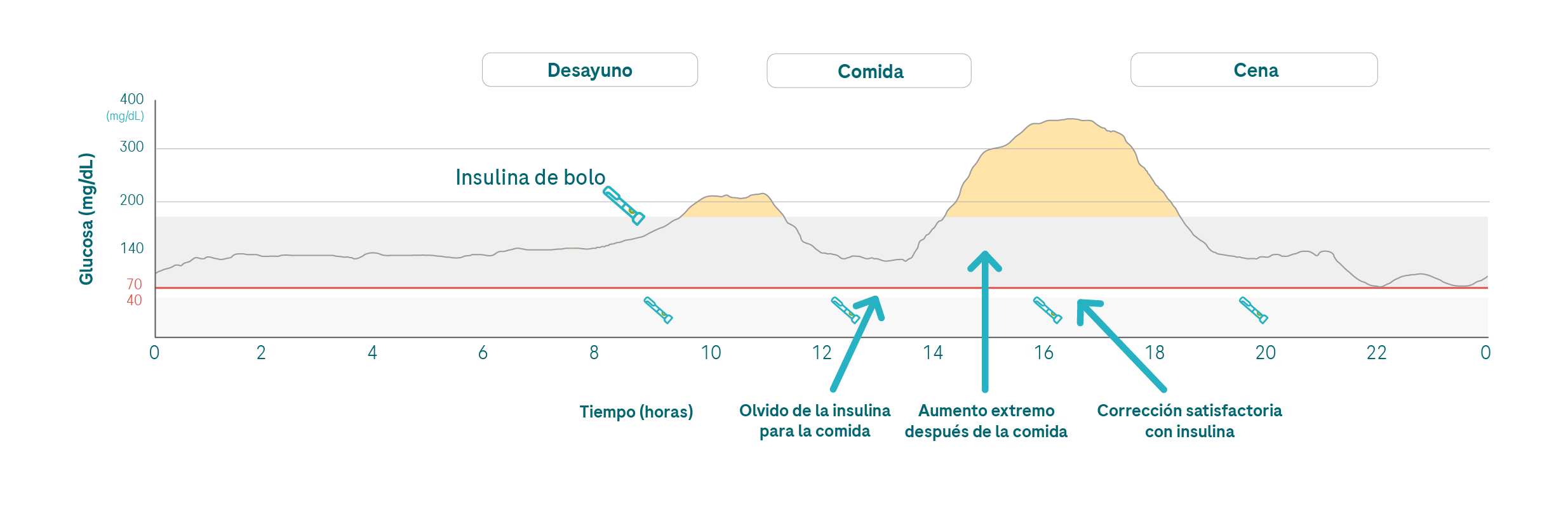 CGM_Training_graphs